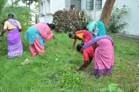Indian Institute of Millets Research (IIMR)