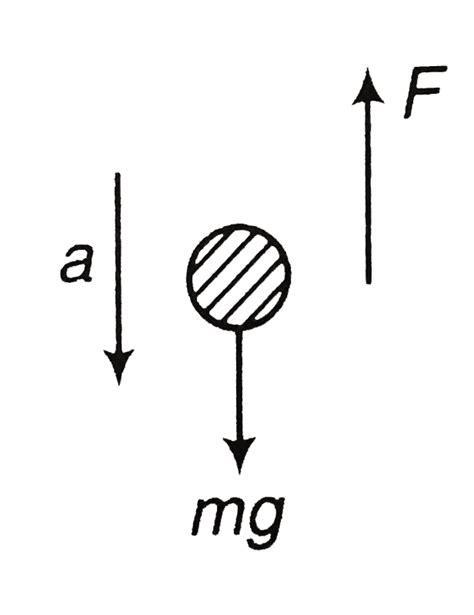 Assertion : Two bodies of unequal masses `m_1 and m_2` are dropped from ...