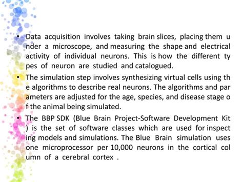 Blue Brain Project 的图像结果