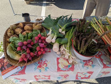 Memorial Day Weekend Saturday Market, Dopkins and Main, Delafield, WI ...