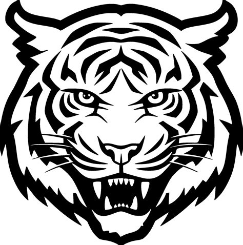 Tiger Vector 的图像结果