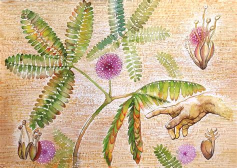 New Delhi-based Gallery Threshold marks 20 years with Verdant Memory ...