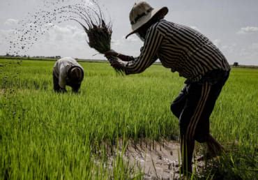 West Bengal Biodiversity Board