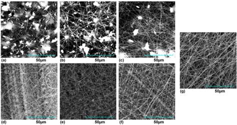Generation of PVP Membranes Using Extracts/Phenolic Fraction of ...