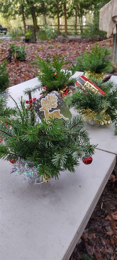 Winter Wonders Outdoor Camp, 18701 se 60th st, Issaquah, WA, United ...