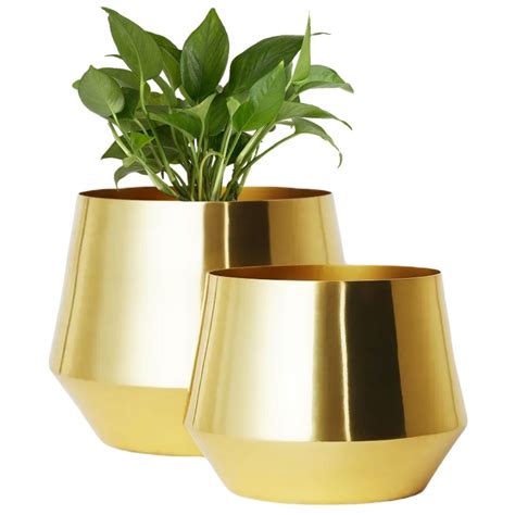 Alice Gold Metal Pot – Ecofynd