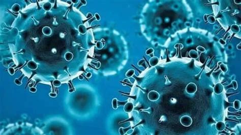 Omicron: People coming from abroad must stay at home for 14 days ...