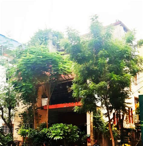 Kolkata Villa Holiday Rentals - West Bengal, India | Airbnb