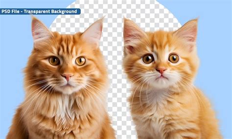 Image result for Amazing Python 3D Data Visualization Graphs