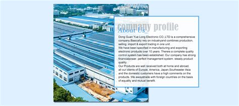Company Overview - Dongguan Yuelong Electronic Technology Co., Ltd.