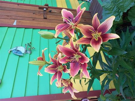 HIRA OASIS NELSON NEW ZEALAND - Campground Reviews & Photos - Tripadvisor