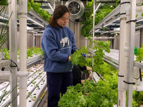 Local Food Systems 的图像结果