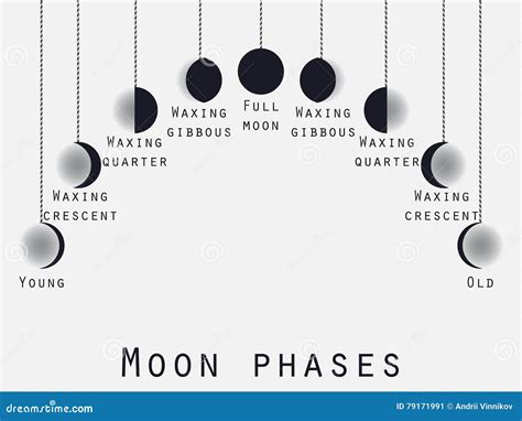 The Phases of the Moon. Lunar Phase. Moon Stages Stock Vector - Illustration of nature, eclipse ...