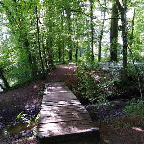 LUTTERWALD ISSELHORST (2026) All You Need to Know BEFORE You Go (with ...