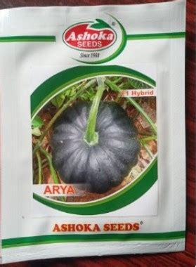 Home | Shine Brand Seeds | http://shinebrandseeds.com/