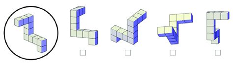 Image result for Spatial Rotation Test