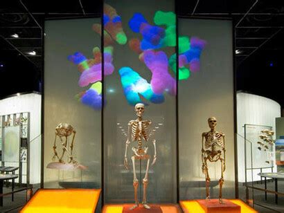 Spitzer Hall of Human Origins | Meer