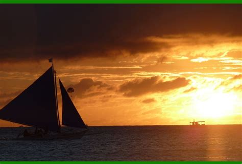 Barcode Scanning Software 的图像结果