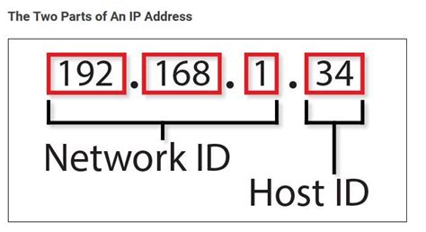 Image result for IP/Network Part