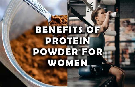 Image result for Protein Powder Benefits
