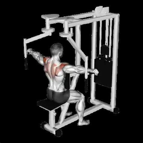 Image result for Reverse Fly Over FitBALL