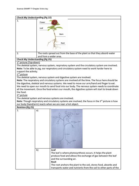 Image result for Chapter 3 Lesson 2 in Science Book Grade 7 Answer Key