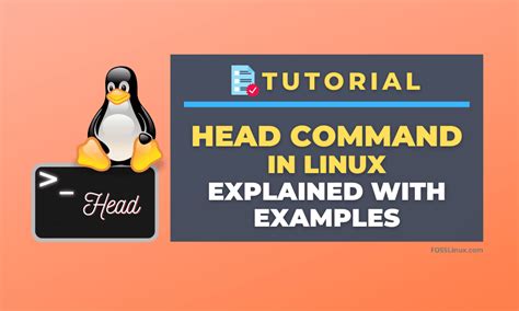 Image result for Linux Head Command