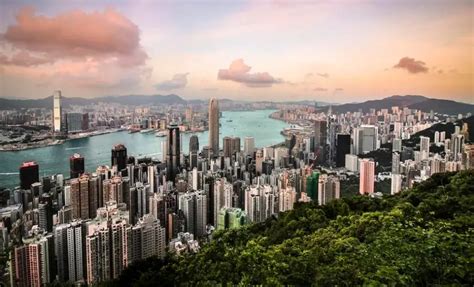 如何去香港工作？5种方式中，它最合适 - 知乎