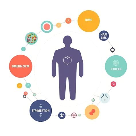 Image result for Endocrine System Transparent Background