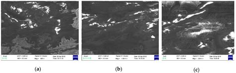 Experimental Investigation on the DLC Film Coating Technology in Scroll ...