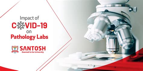 Impact of COVID-19 on Pathology Labs: Challenges, Adaptations, and ...