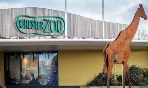 Top 5 Zoo in UK - Business Outreach