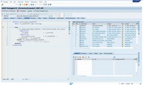 SAP ABAP Debugging 的图像结果
