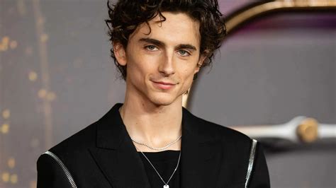 Timothée Chalamet cumple 29 años y está en su mejor momento