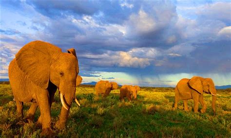里瓦自然保护区-裂谷省-肯尼亚旅游局中文官方网站