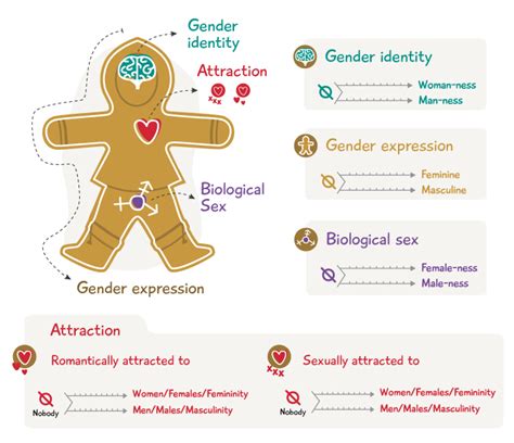 Image result for Explaining Gender Identity