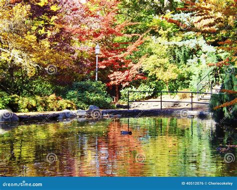 LOVELY LITHIA PARK in OREGON in the FALL Stock Photo - Image of leaves ...