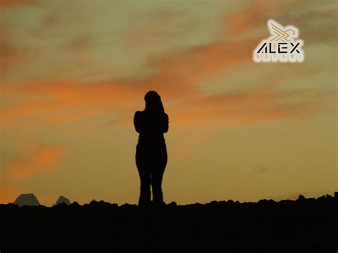 ALEX SAFARI (2025) All You Need to Know BEFORE You Go (with Photos ...