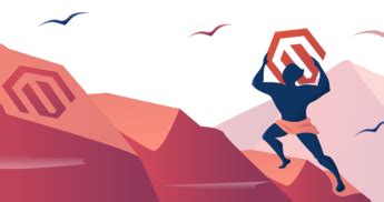 Magento Custom Module 的图像结果