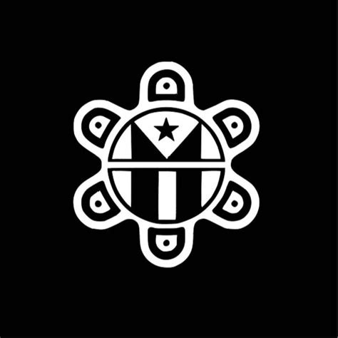 Sol Taino Con Bandera Sol Taino Puerto Rico Flag Sol Taino | Etsy in 2024