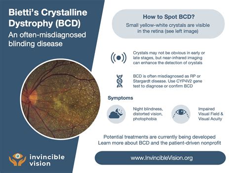 Bcd Problems 的图像结果