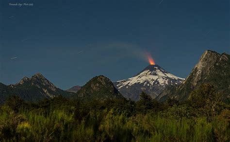 PUCON BIRDING (2026) All You Need to Know BEFORE You Go (with Photos ...