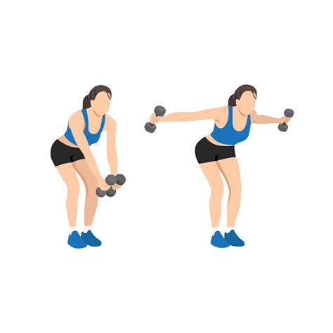 Woman doing Dumbbell bent over reverse flyes. Flat vector illustration isolated on white ...
