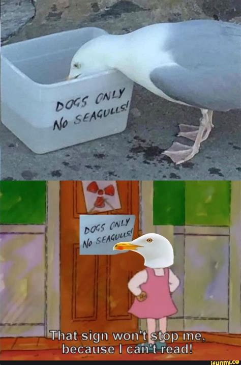 That Wont Stop Me Because I Cant Read - bitmoms