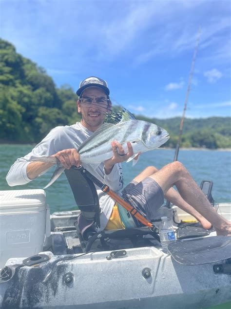 Couple roosters for Jake and Josh : r/kayakfishing