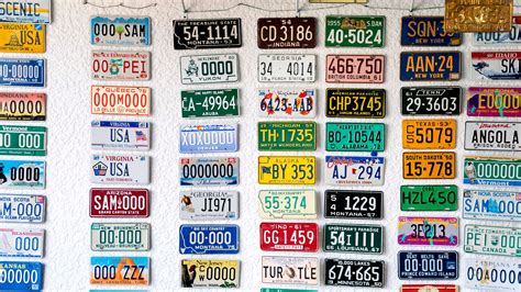 Florida specialty license plates: Which are the most popular designs?