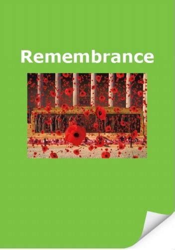 Remembrance (Turning Pages Reading Programme) : Amazon.in: Books
