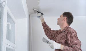 Plaster 的图像结果