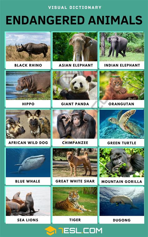Image result for Extinct Animals with Names