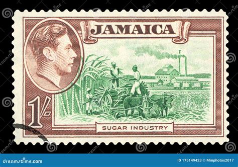 Food Stamps Jamaica Queens at Vivian Nelson blog